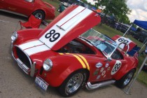 Cobra Racer 89